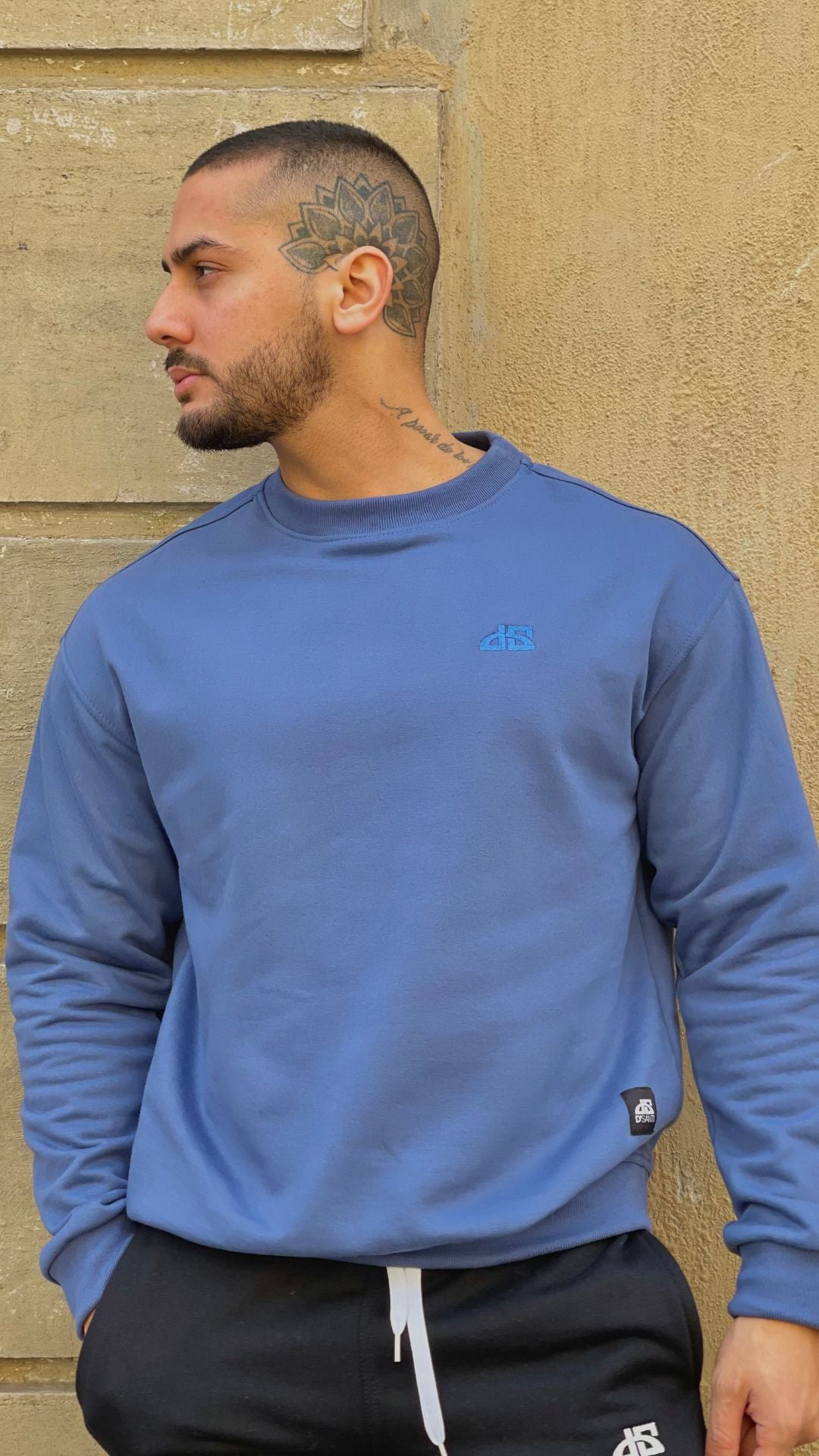 Poleron sin Gorro Azul DS