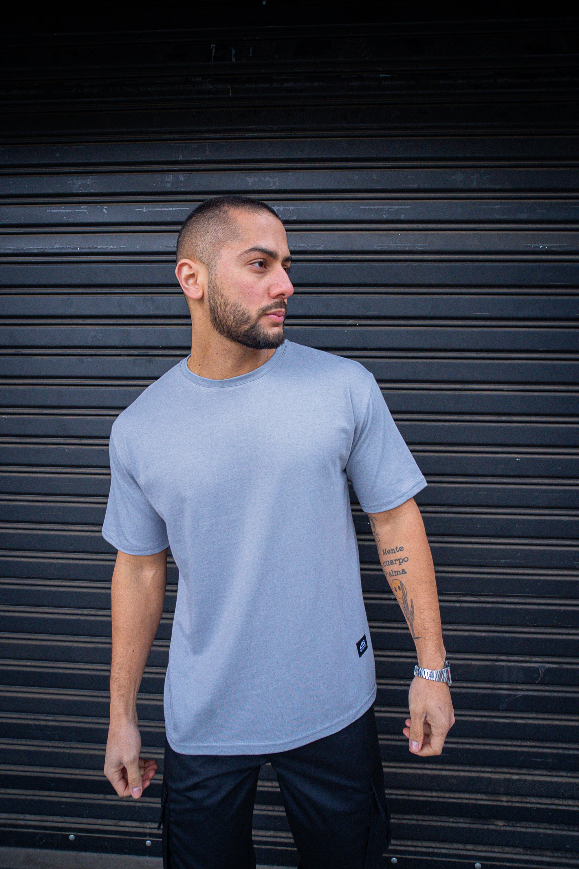 Polera Oversize Gris plata Dsanti