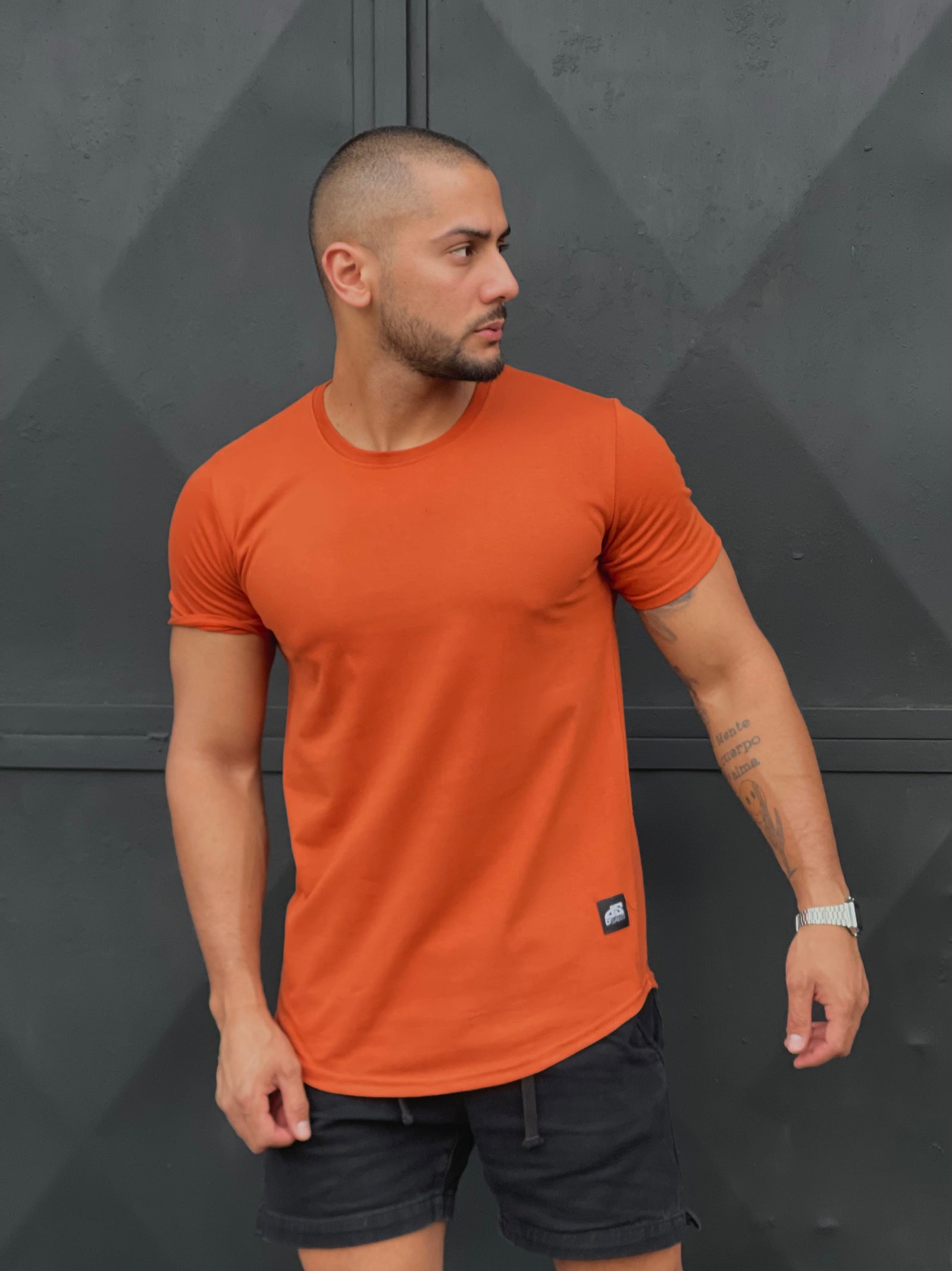 Polera Long fit 096 Terracota Dsanti