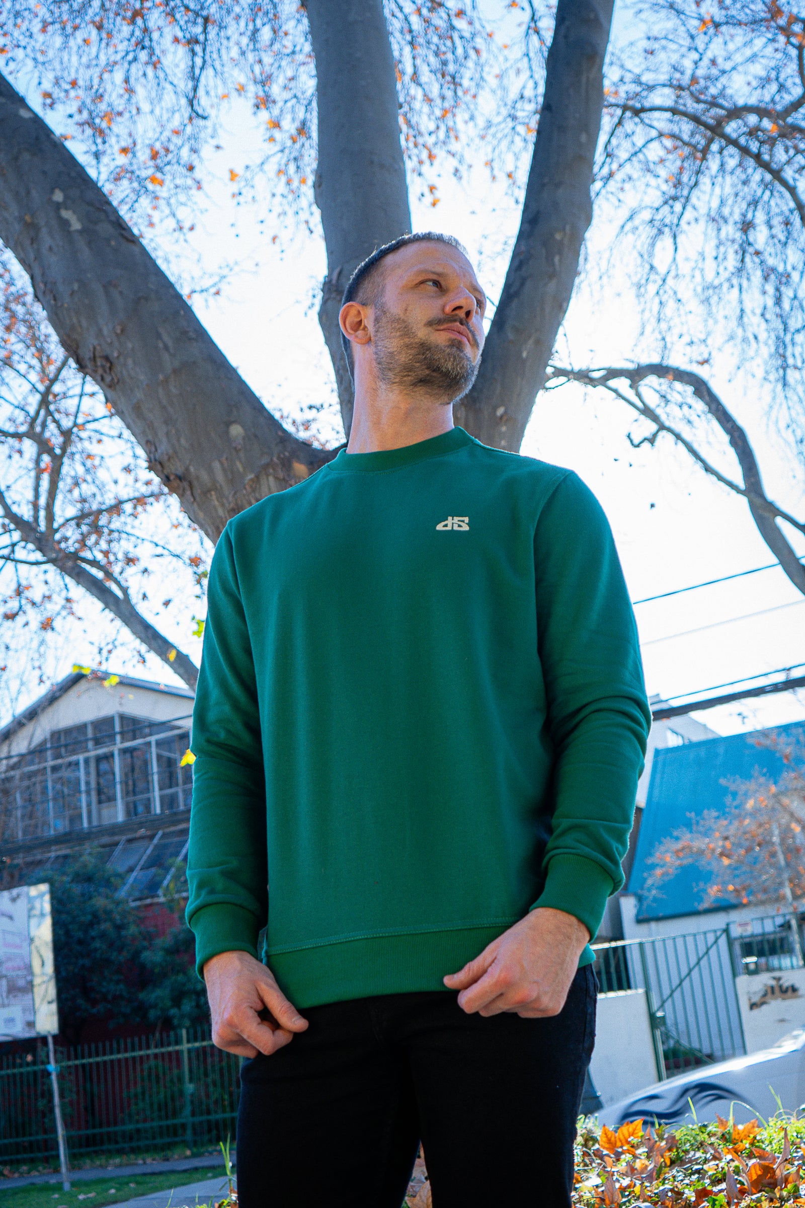 Poleron sin Gorro Verde DS