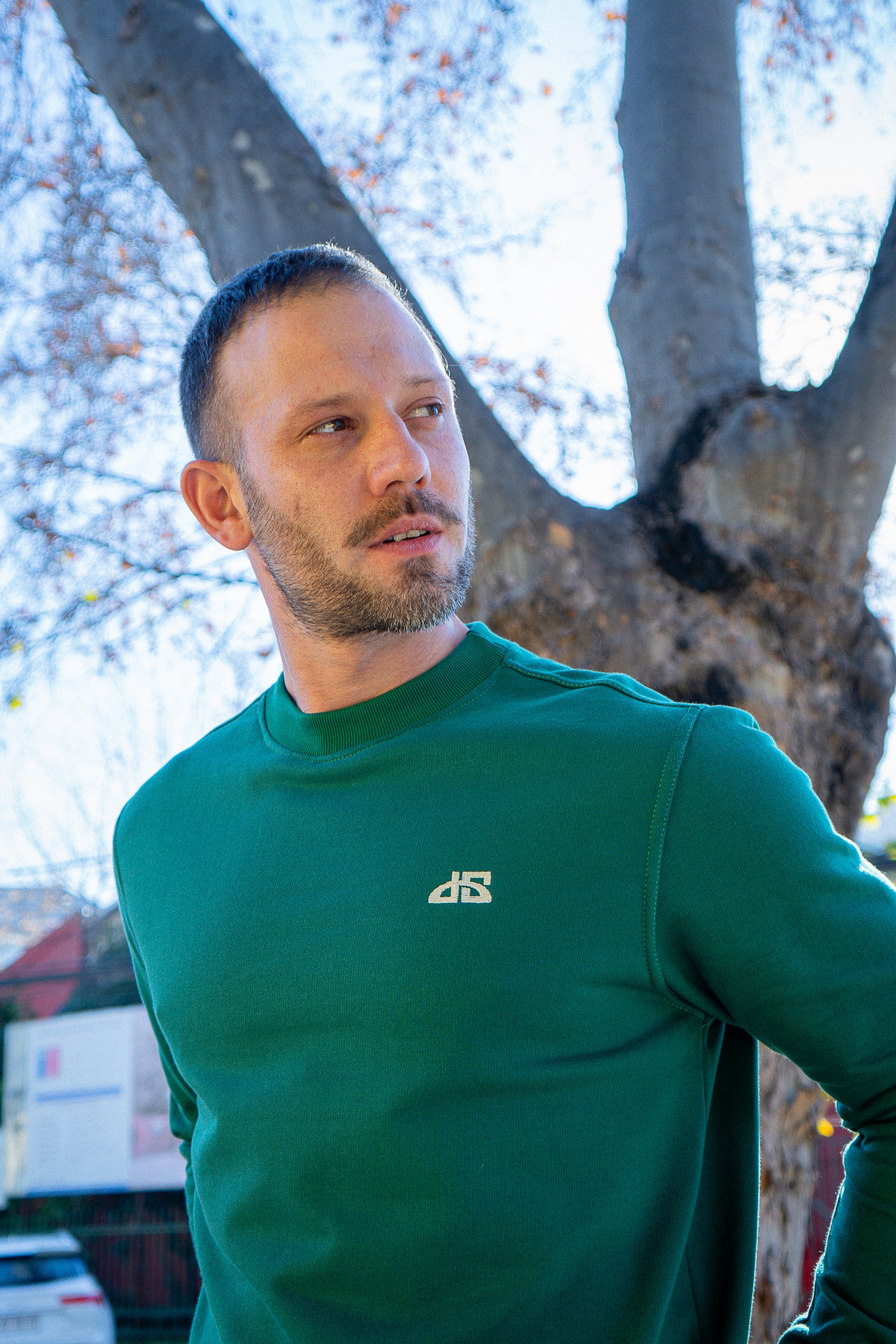 Poleron sin Gorro Verde DS